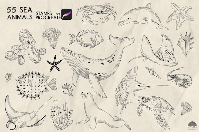 Sea Animals Stamps for Procreate: 55 Ocean Life Line Art Brushes ...