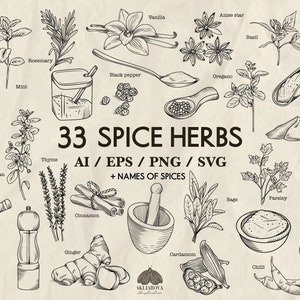 Épices herbes Svg nourriture Svg cuisine Svg bio Svg végétalien Svg épices clipart produits Svg épices Silhouette Svg Png vanille cannelle aneth