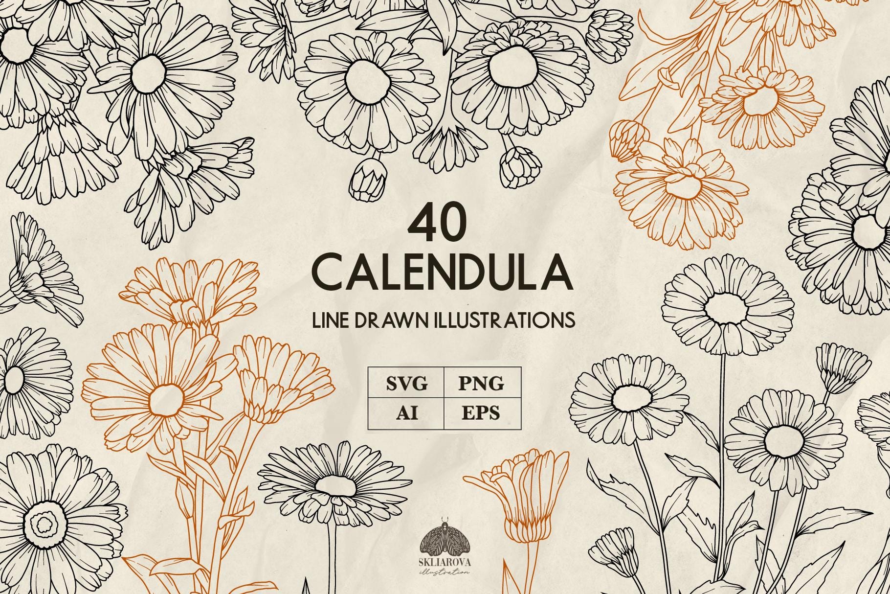 Calendula Line Art SVG Bundle: 40 Floral Vector Illustrations (+ PNG ...