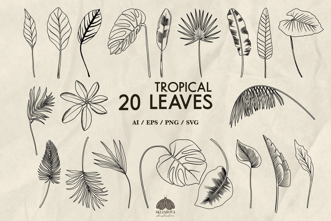 20 Tropical Leaves Svg Bundle Monstera Plant Leaves Svg Palm Leaf Png ...