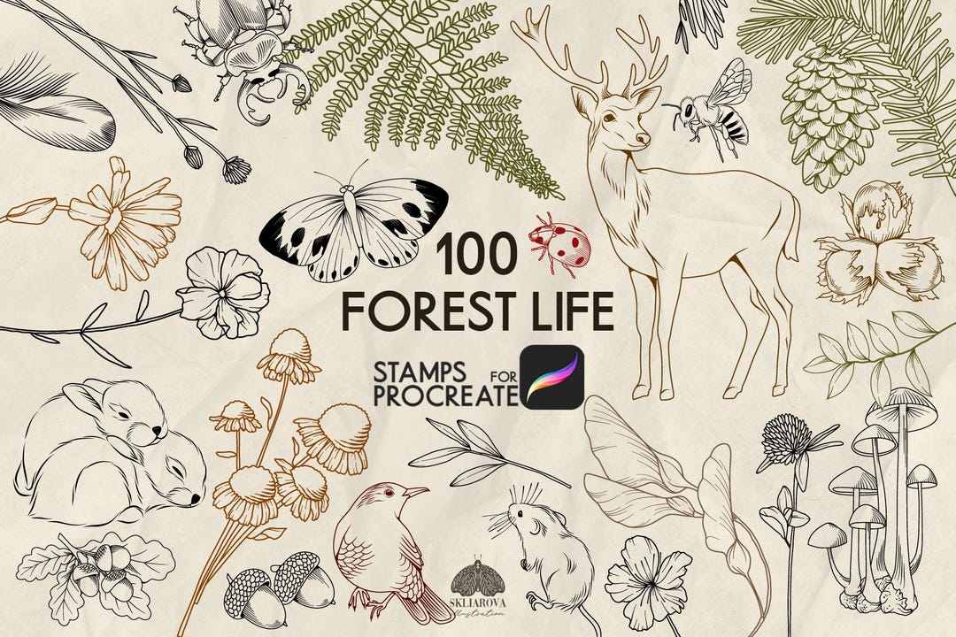 Forest Stamps for Procreate: 100 Animals and Botanicals Stamp Brushes ...