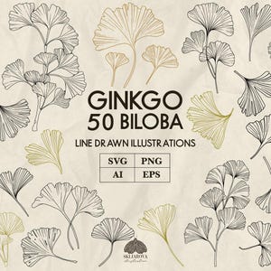 May include: An assortment of line-drawn Ginkgo Biloba illustrations in black and gold on a beige background. The image includes the text "GINKGO 50 BILBOA LINE DRAWN ILLUSTRATIONS" with file type icons for SVG, PNG, AI, and EPS.