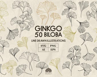Ginkgo biloba Svg bunt Ginkgo biloba blad Handritad ginkgo png Blommig linjekonst Botanisk teckning disposition Ginkgo vektorillustration