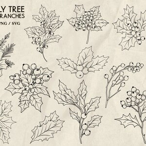 May include: A set of 40 black and white line drawings of holly tree branches with berries. The branches are in various poses and sizes. The image is on a beige background.
