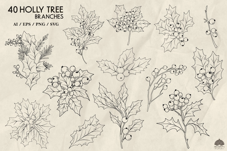 May include: A set of 40 black and white line drawings of holly tree branches with berries. The branches are in various poses and sizes. The image is on a beige background.