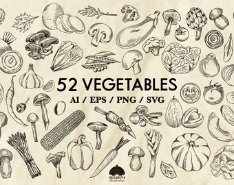 Zestaw warzyw SVG: 52 ilustracje jedzenia w formie grafiki liniowej (+ pliki PNG, Eps, Ai)