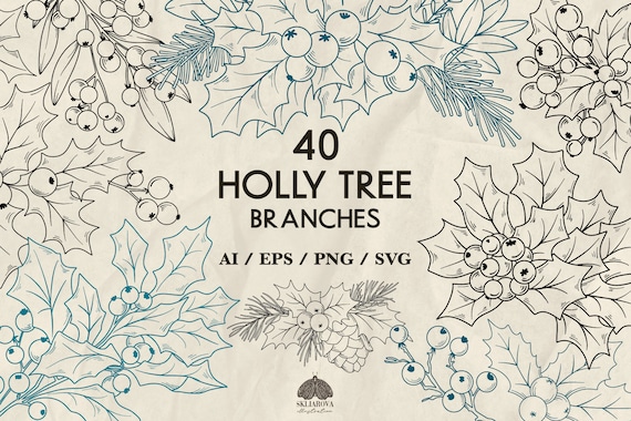 Christmas SVG Bundle: 40 Holly Branches, Winter Floral Line Illustrations (+ Png, Eps, Ai)