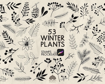 May include: A set of 53 black and white winter plant illustrations for Procreate. The illustrations include various leaves, branches, berries, and flowers. The text "53 Winter Plants" and "Stamps for Procreate" is included in the image.