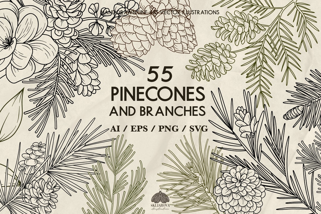 Pine Branches & Pinecones SVG Bundle: 55 Botanical Forest Vector ...