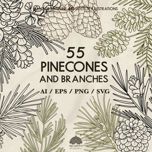 Ensemble Svg botanique de pommes de pin dessin botanique Svg de pin Pommes de sapin Svg forêt floral branches de sapin Svg d'épicéa Svg de conifères Svg Png