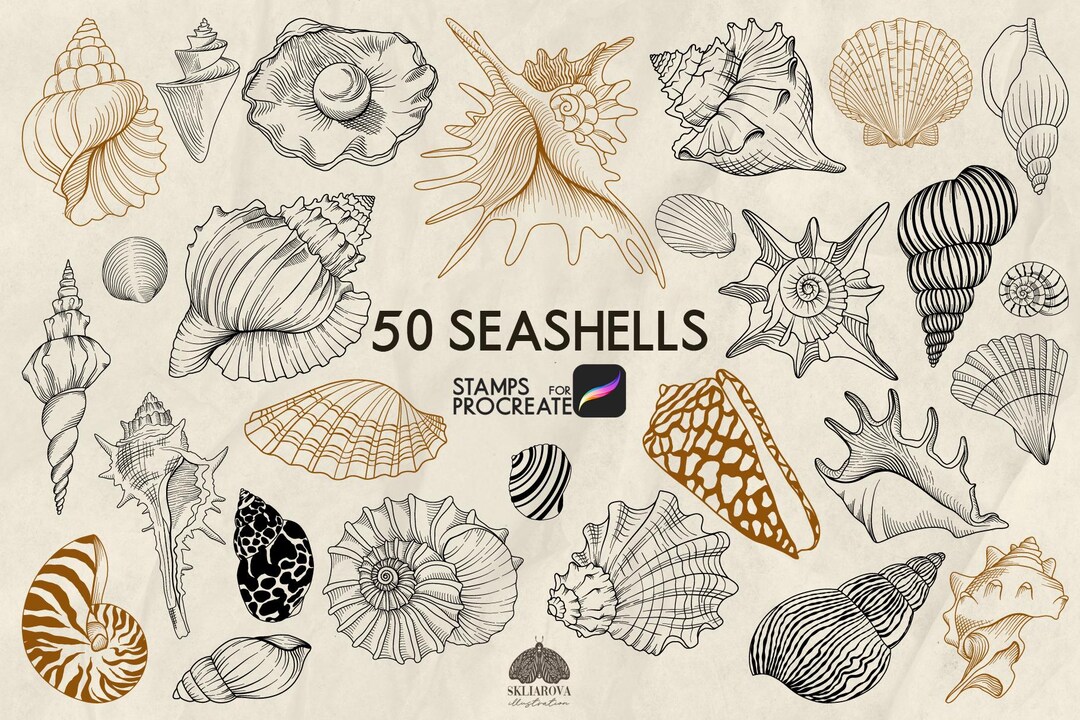 Seashell Stamps for Procreate: 50 Sea Life Nautical Line Art Brushes ...