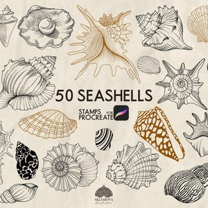 Può includere: Una collezione di 50 disegni in bianco e nero di conchiglie, con alcune conchiglie in marrone e oro. Il testo "50 SEASHELLS" è al centro dell'immagine, con il testo "STAMPS FOR PROCREATE" sotto.