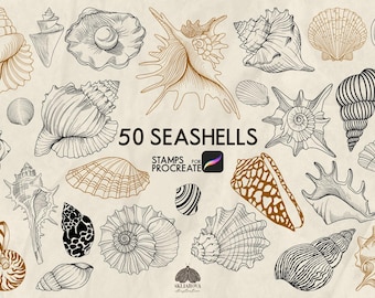 Seashell Stamps for Procreate: 50 Sea Life Nautical Line Art Brushes (Procreate iPad Only)
