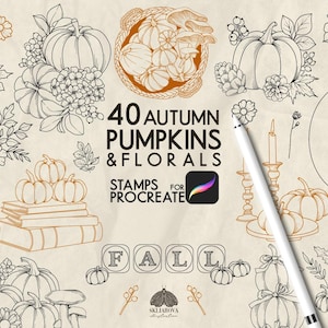 Op de afbeelding: Een digitale collectie van 40 herfstpompoenen en bloemen lijntekeningen voor Procreate. De afbeelding bevat diverse stapels pompoenen, manden, boeken en bloemstukken in zwarte en oranje contouren op een getextureerde beige achtergrond.