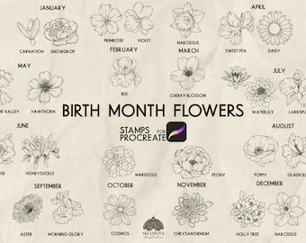 Birth Month Flower Procreate Stamps: Botanical Line art Brushes (Procreate iPad Only)