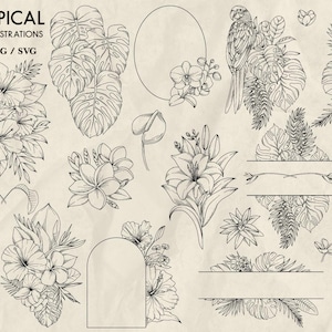 Peut inclure: Un ensemble de 70 dessins au trait en noir et blanc de fleurs tropicales, de feuilles et d'un perroquet. Les illustrations sont parfaites pour cr&eacute;er des designs num&eacute;riques ou imprim&eacute;s.