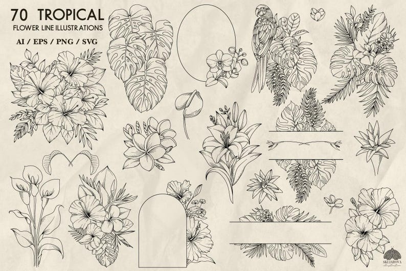 Peut inclure: Un ensemble de 70 dessins au trait en noir et blanc de fleurs tropicales, de feuilles et d'un perroquet. Les illustrations sont parfaites pour cr&eacute;er des designs num&eacute;riques ou imprim&eacute;s.