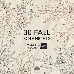 May include: 30 Fall Botanicals Stamps for Procreate. A digital illustration of 30 black and red line drawings of fall flowers and leaves.