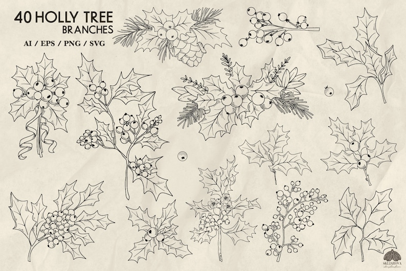 May include: A set of 40 black and white line drawings of holly tree branches with berries. The branches are in various poses and sizes. The drawings are on a light brown background.