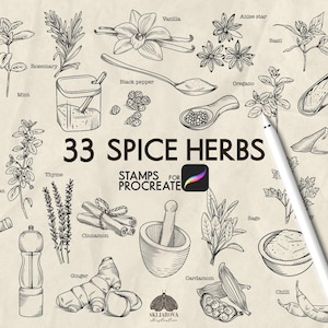Peut inclure: Un ensemble d'illustrations numériques présentant 33 dessins au trait d'épices et d'herbes sur un fond texturé. Le texte indique 33 SPICE HERBS STAMPS FOR PROCREATE. On y trouve des croquis de vanille, romarin, menthe, cannelle et gingembre.