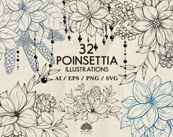 Christmas Poinsettia SVG Bundle: 32 Botanical Line Art Illustrations (+ Png, Eps, Ai)