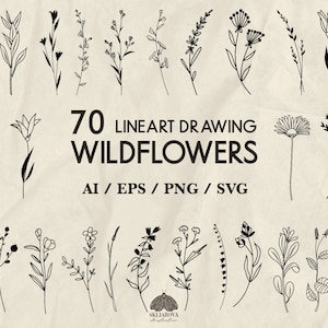 Bundle de fleurs sauvages SVG Dessin au trait fleurs contour des fichiers svg pour cricut Clipart floral botanique minimaliste plantes de prairie png Bleuet pavot
