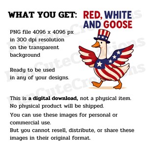 K&ouml;nnte beinhalten: Ein digitaler Download-Grafik mit einer Gans in patriotischen Farben. Die Gans tr&auml;gt einen Zylinder und hat Fl&uuml;gel und einen K&ouml;rper, die mit rot-wei&szlig;-blauen Mustern verziert sind. Der Text enth&auml;lt "RED, WHITE AND GOOSE" und Details zur digitalen Datei.