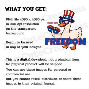 May include: A digital download graphic featuring a cartoon goose wearing sunglasses and a patriotic hat, holding a hot dog. The word "FREEDOM" is displayed in red and blue. The text reads "WHAT YOU GET: PNG file 4096 x 4096 px..."