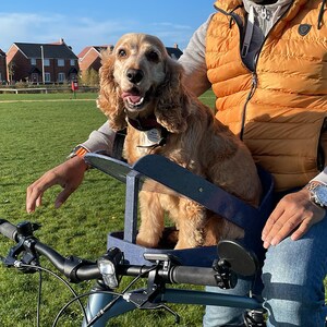 Dog bike carrier clearance uk