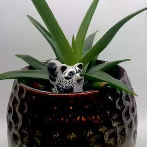 May include: A ceramic raccoon ornament sits in a dark brown, textured ceramic pot. The pot holds a green aloe vera plant with long, pointed leaves. The raccoon has a black and white pattern.