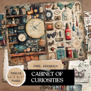 Kit de diario basura del Gabinete de Curiosidades, papel digital para álbum de recortes, imprimible de historia natural, páginas de ciencia victorianas, licencia comercial