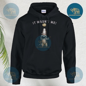 Lustiger Waschbär Hoodie, Waschbär-Liebhaber, lustiges Waschbär Hoodie T-Shirt, Waschbär Geschenke, lustiger Meme Hoodie, Meme Shirts, es war nicht ich Hoodie! Gildan 18500