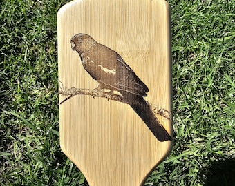 King Parrot australisk infödd graverad bambu hårborste paddel rektangulär antistatisk