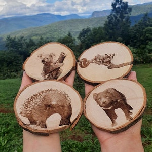 Australian Native Animal Mammal Coaster Set Koala, Tasmanian Devil, Echidna, Sugar Glider