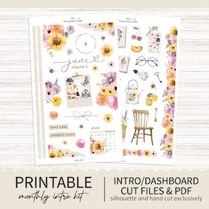 Kit de introdução mensal para impressão de junho / Kit de adesivos para planejador mensal do painel - Qualquer planejador