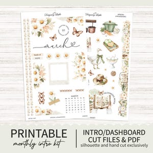 Druckbares Monatliches Intro Kit / Dashboard Monatlicher Planer Sticker Kit - Jeder Planer