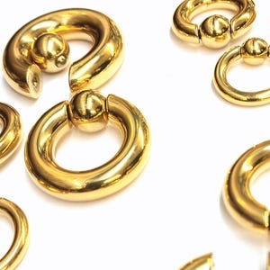 Gold prince albert jewelry deals