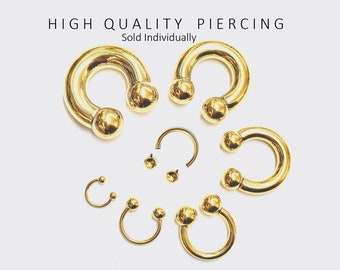 Gold Horseshoe Barbell: Surgical Steel Septum, PA Ring - 16G to 00G