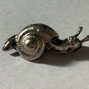 Silver Snail Brooch