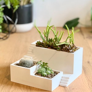 Könnte beinhalten: Ein weißer Keramik-Pflanztopf mit drei Abschnitten, die jeweils eine andere Sukkulente beherbergen. Der Topf ist in Form einer Treppe gestaltet.