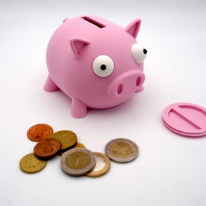 Lustiges Sparschwein | 3D Druck | nachhaltig | Spardose | Geldgeschenk | Kinder Sparschwein | Geschenkidee | Münzbox | Sparbüchse