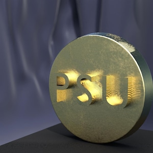 Medallón con la letra de la PSU (cobre, plata u oro nórdico) – Moneda con la inicial – Ficha escolar o de equipo – Regalo personalizado con acrónimo hecho a mano
