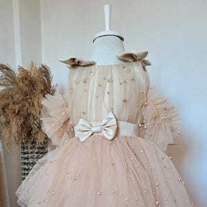Luxury Fluffy Girl&#39;s Dress With Pearl, Blush Pearl Tulle Dress for Baby Girls Toddler Birthday Outfit Valentines Day baby Photo Dress