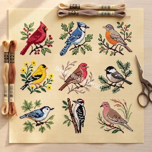 Puede incluir: Un muestrario de punto de cruz sobre tela Aida beige con nueve especies de aves posadas en ramas, incluyendo un cardenal, un arrendajo azul y un petirrojo. Madejas de hilo de bordar y tijeras de metal rodean el tejido.