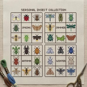 Seasonal Insect Cross Stitch Pattern - Entomology Bug Collection - Beetle Butterfly Moth Dragonfly Chart - 4 Seasons Nature Sampler PDF
