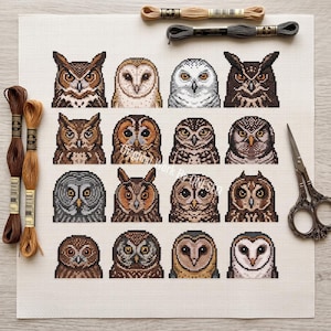 May include: A cross-stitch pattern on white Aida fabric featuring sixteen distinct owl portraits in various shades of brown, gray, and white. The set includes four skeins of embroidery floss in brown and gray tones and a pair of vintage-style scissors.