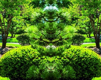 Custom Fence Screen, privacy screen, print green oasis, outdoor garden and decor, unique fence cover print, screen patio, pool, balcony