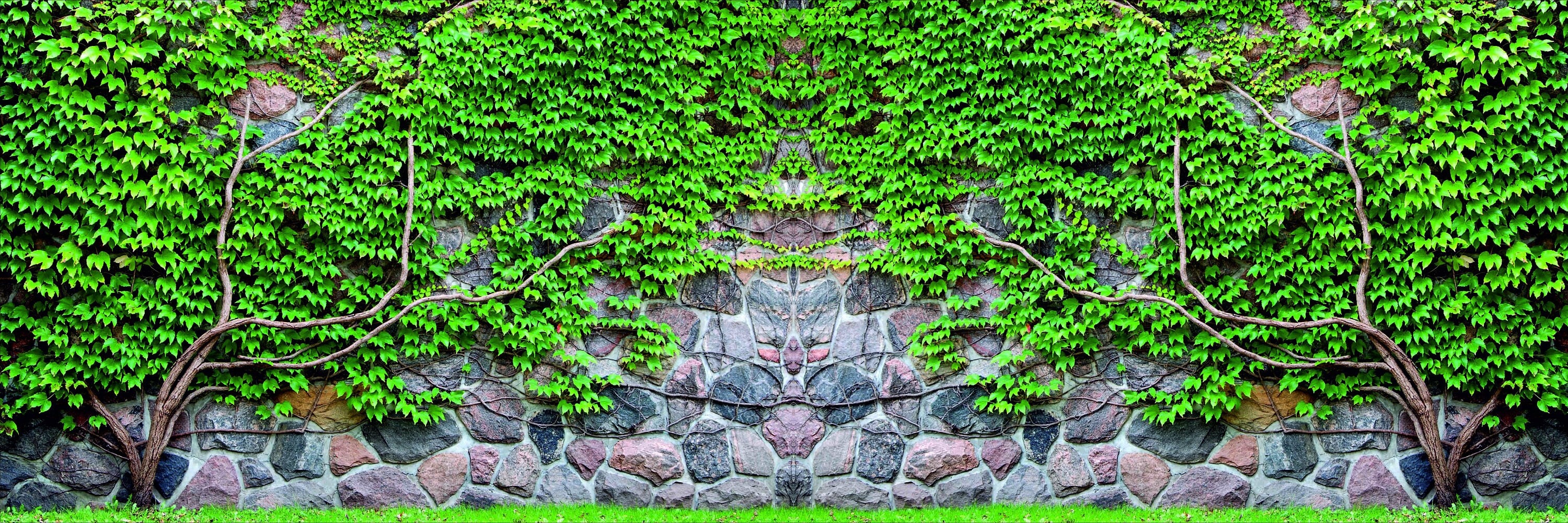 Custom privacy screen green ivy on a stone wall, Yard Art Outdoor Decor Garden, Wall Home Decor Housewarming Gift Garden Art, Entryway Decor