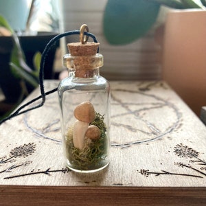 May include: A small glass bottle necklace with a cork stopper, containing two white mushrooms and green moss. The bottle is hanging from a black cord.