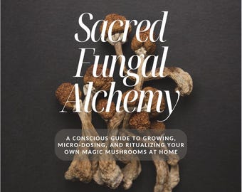 Guía de alquimia sagrada de los hongos